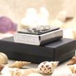 Bật Lửa Ốp Lô Gô Zippo Sang Trọng